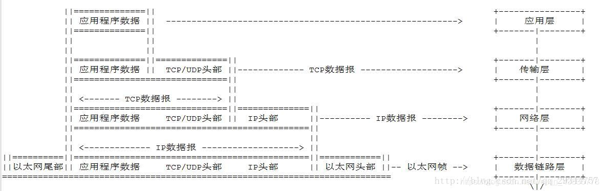 五层协议数据包